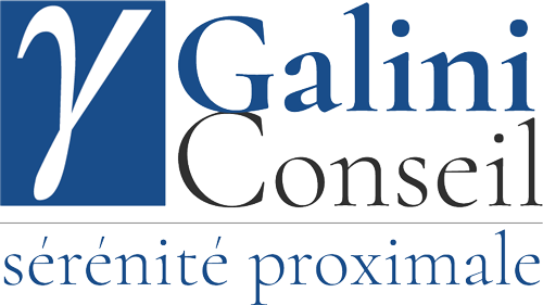 Galini Conseil